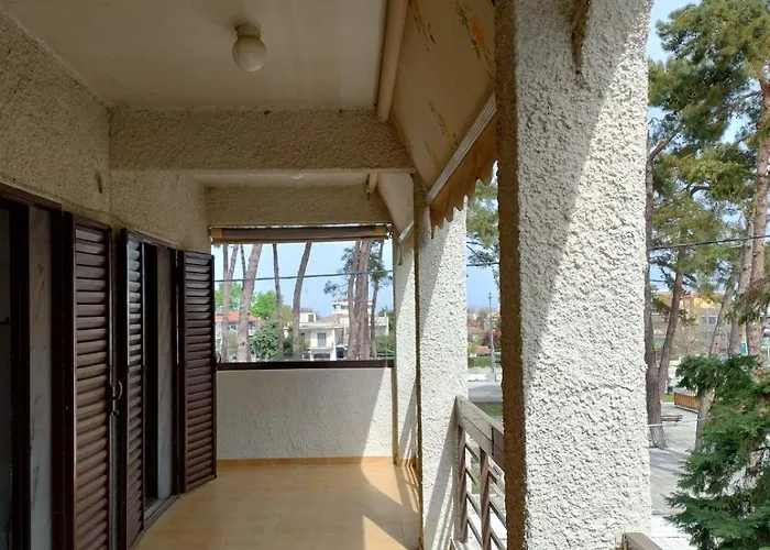 Park 尼奥伊皮瓦太